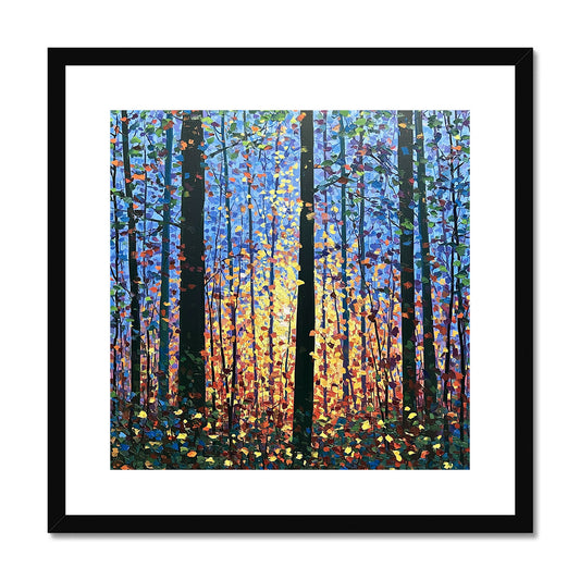 Light Through the Pines