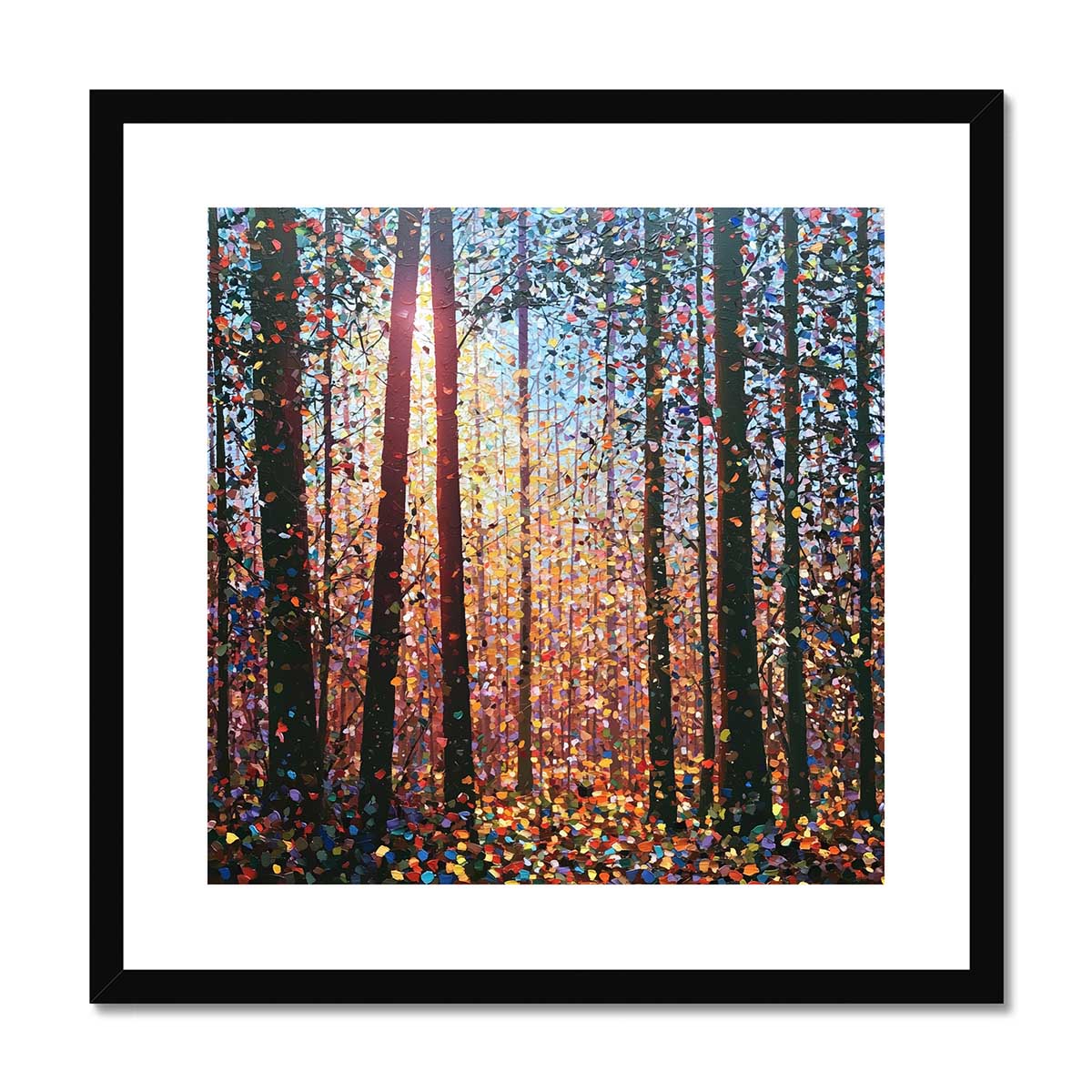 Woodland Radiance