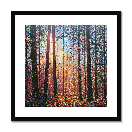 Woodland Radiance